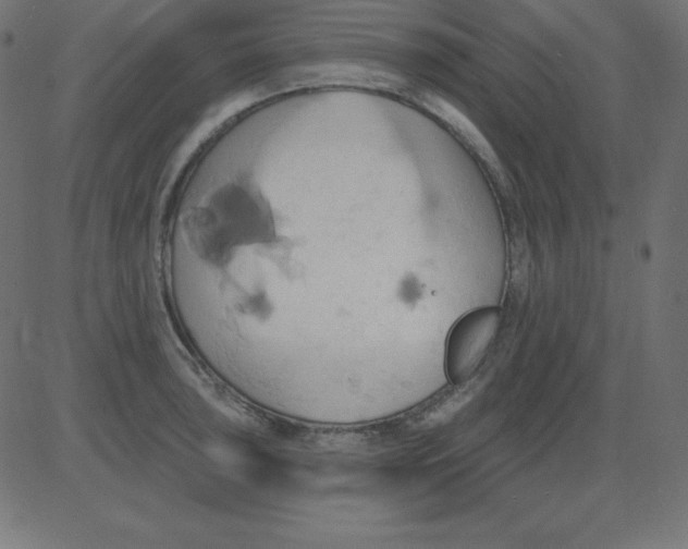 X0000081301043200702012304