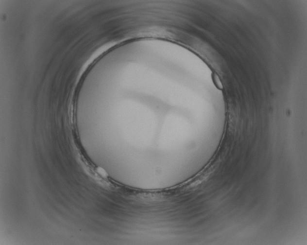 X0000081301044200702012304