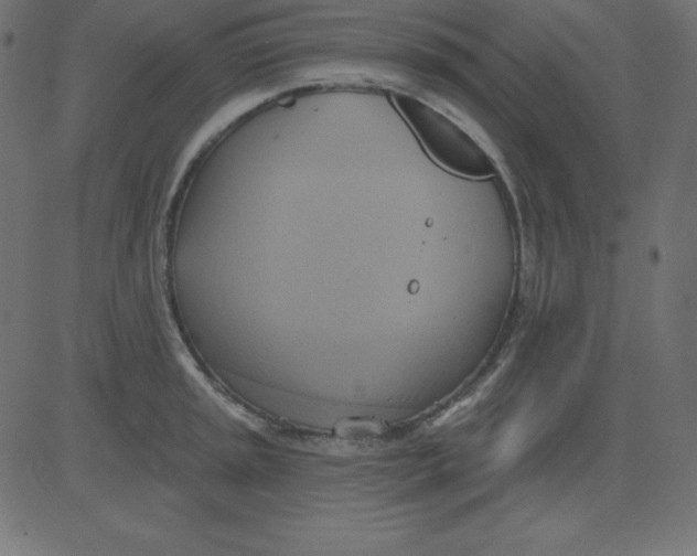 X0000081301045200702012304