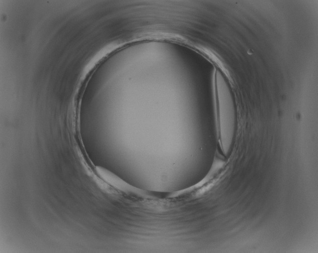 X0000081301046200702012304