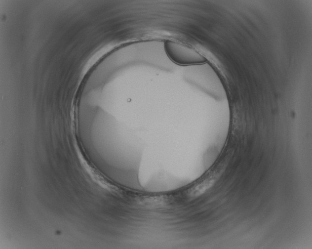 X0000081301047200702012304