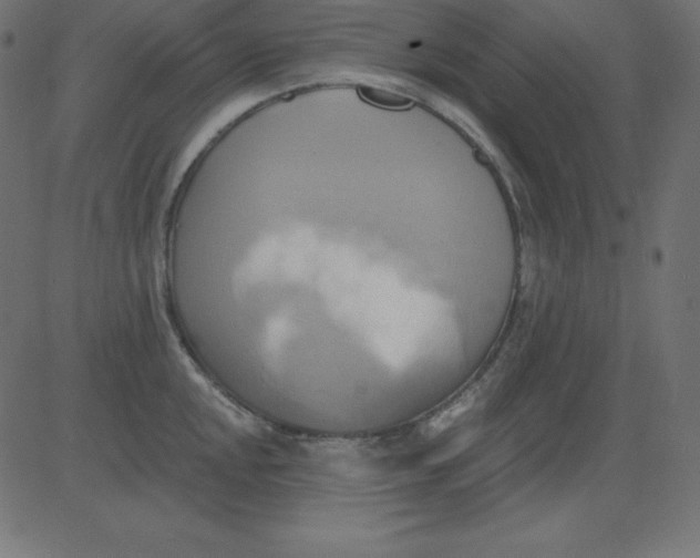 X0000081301048200702012304