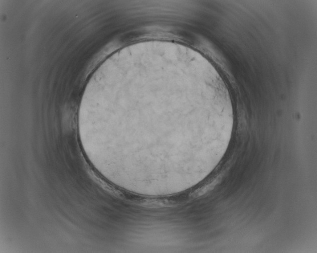 X0000081301049200702012304