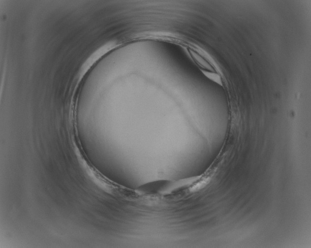 X0000081301050200702012304