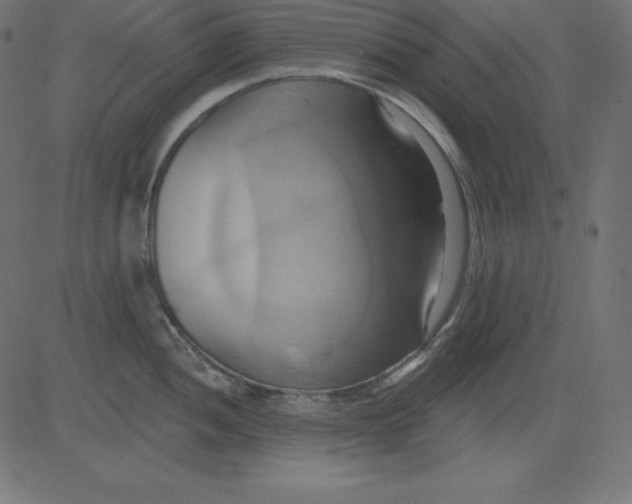 X0000081301052200702012304