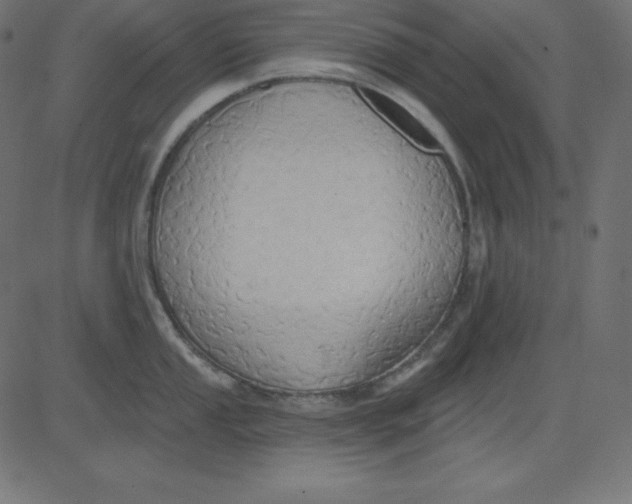 X0000081301053200702012304