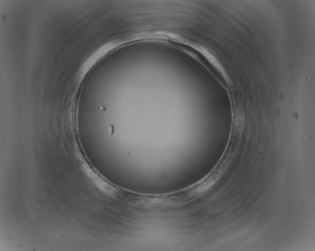 X0000081301054200702012304