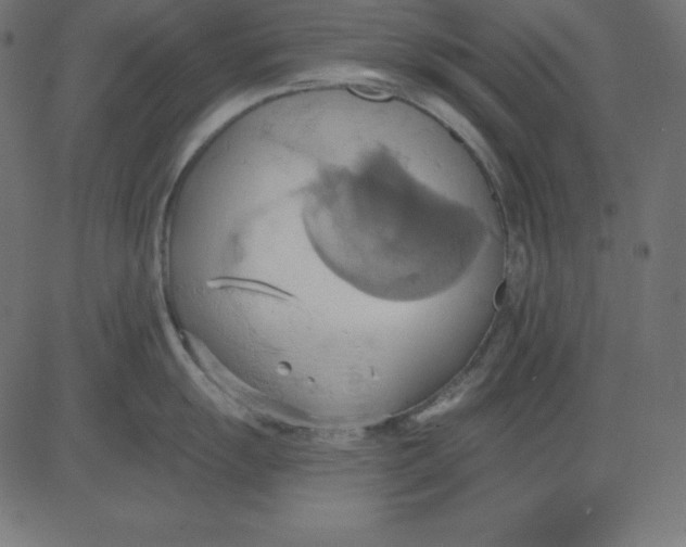 X0000081301055200702012304