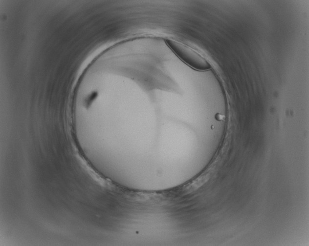 X0000081301056200702012304