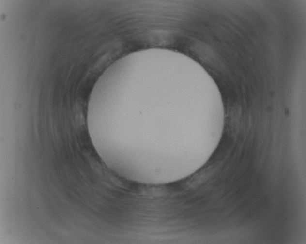 X0000081301058200702012304