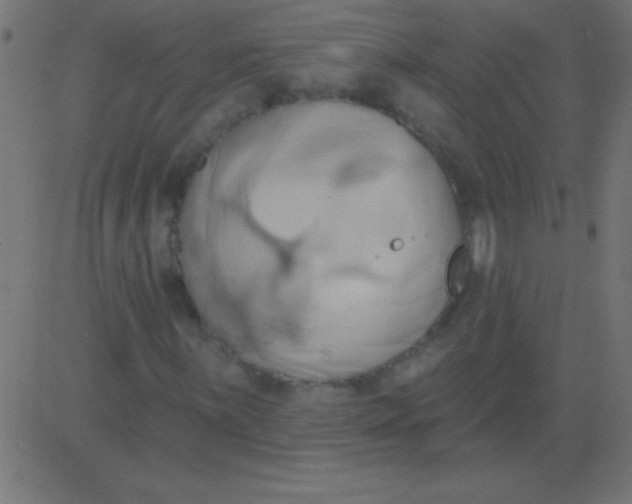 X0000081301059200702012304