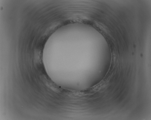 X0000081301060200702012304