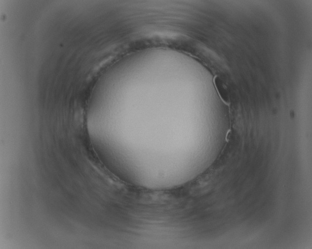 X0000081301061200702012304