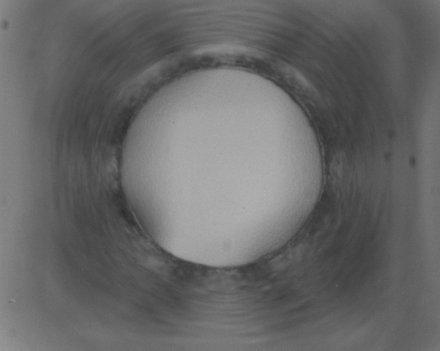 X0000081301062200702012304