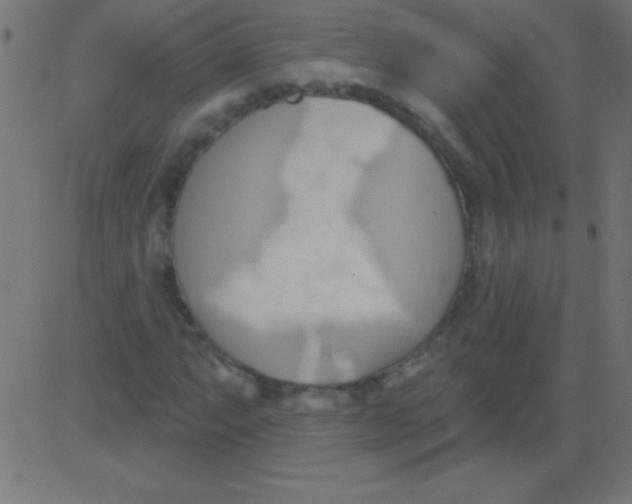 X0000081301063200702012304