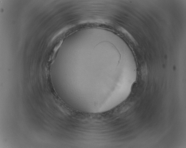 X0000081301064200702012304