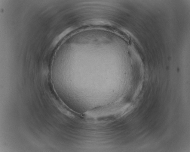 X0000081301065200702012303