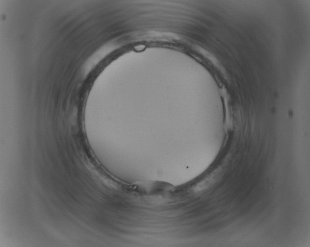 X0000081301066200702012303