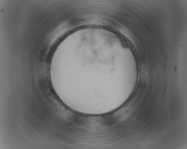 X0000081301067200702012303