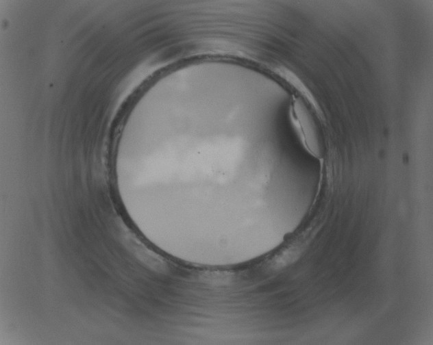 X0000081301068200702012303