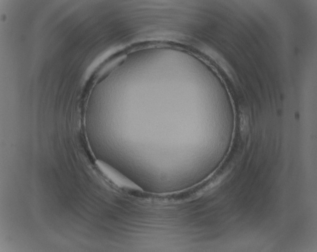 X0000081301069200702012303