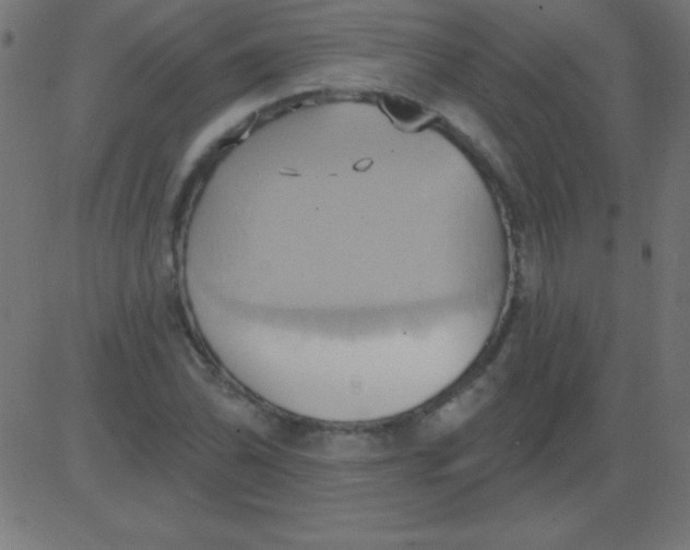 X0000081301070200702012303