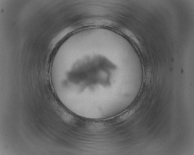 X0000081301071200702012303