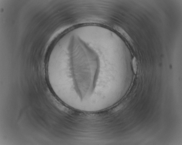 X0000081301072200702012303