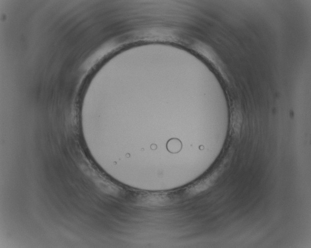 X0000081301074200702012303