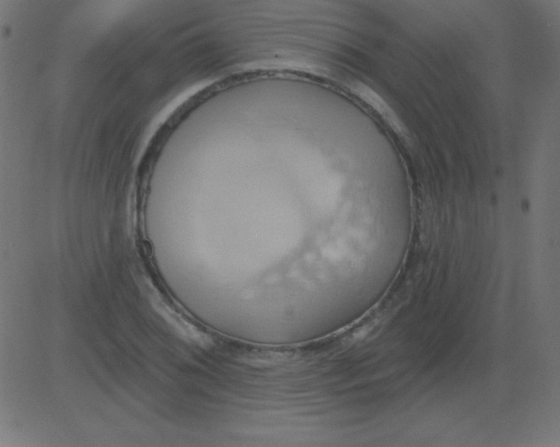 X0000081301076200702012303