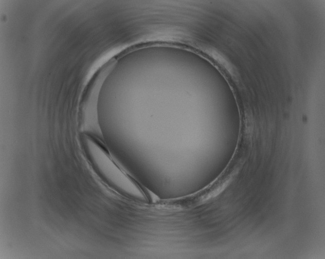 X0000081301077200702012303