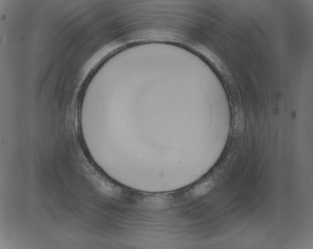 X0000081301078200702012303