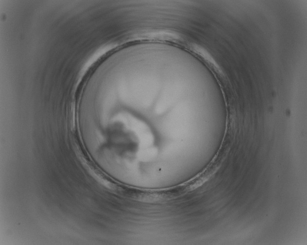 X0000081301079200702012303