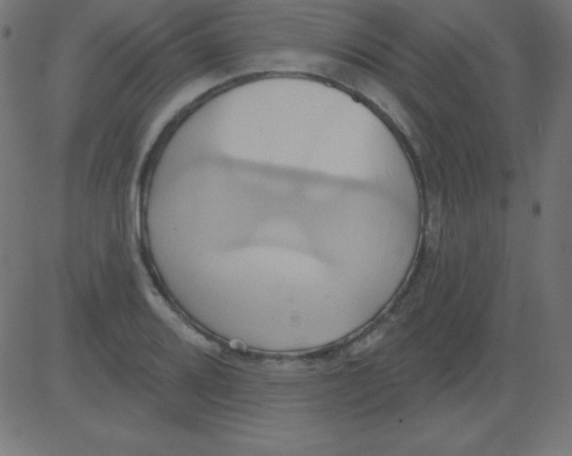 X0000081301080200702012303