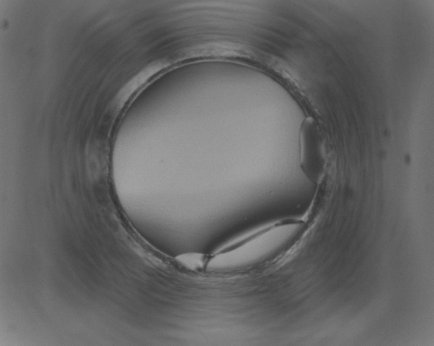 X0000081301081200702012303