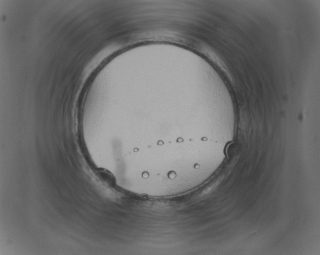 X0000081301082200702012303