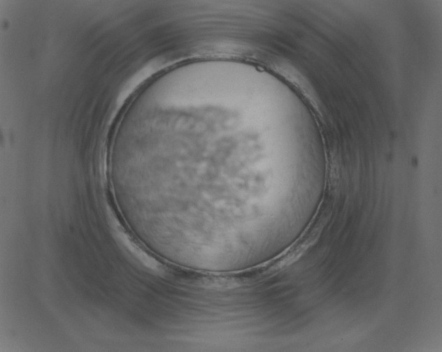 X0000081301083200702012303