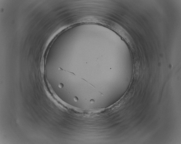 X0000081301084200702012303