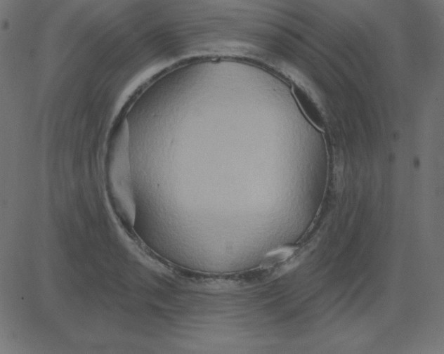 X0000081301085200702012303