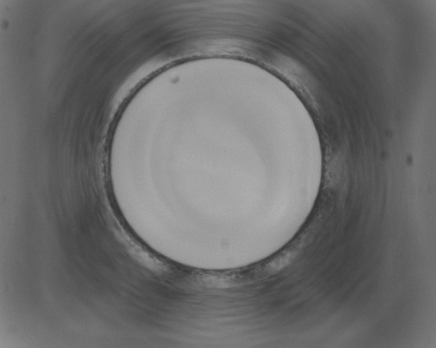 X0000081301086200702012303