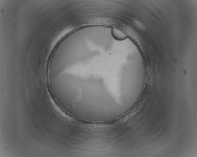 X0000081301087200702012303