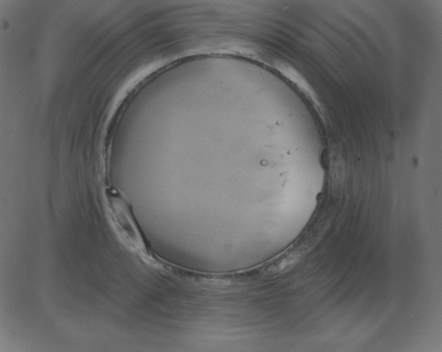 X0000081301088200702012303