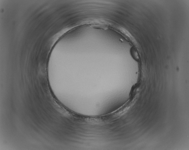 X0000081301089200702012303