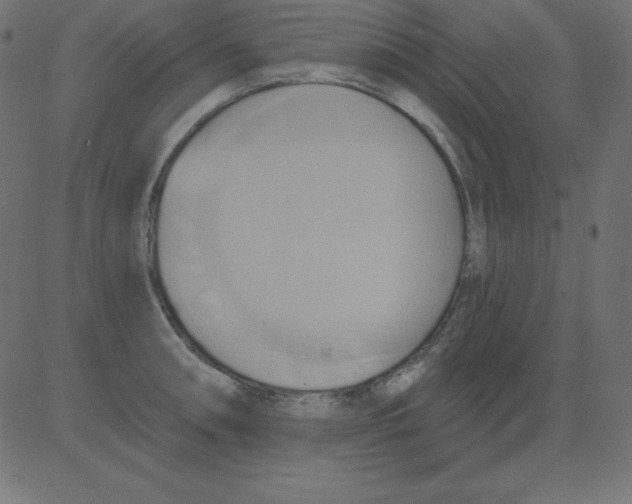 X0000081301090200702012303