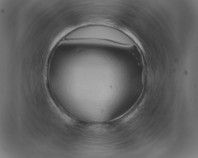 X0000081301093200702012303