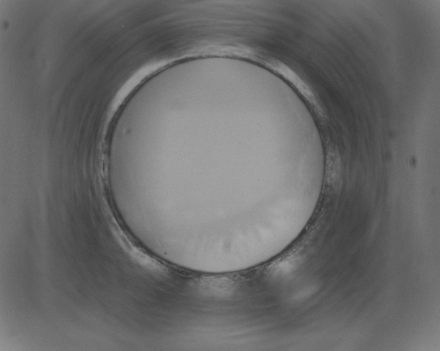 X0000081301094200702012303