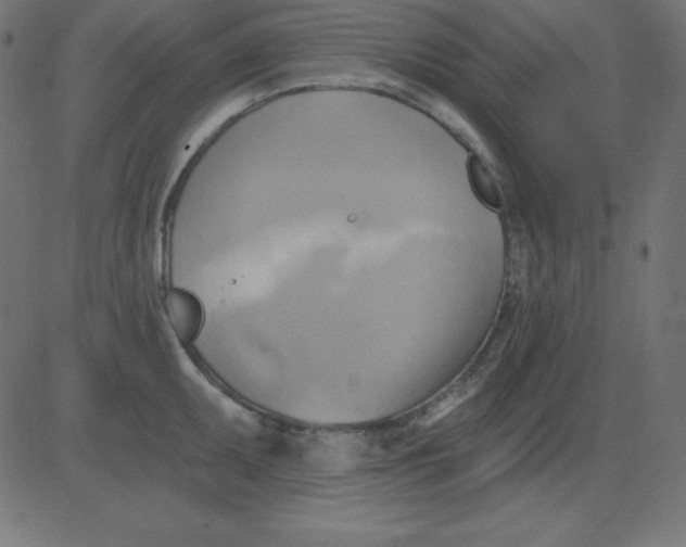 X0000081301095200702012303