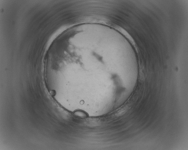 X0000081301096200702012303