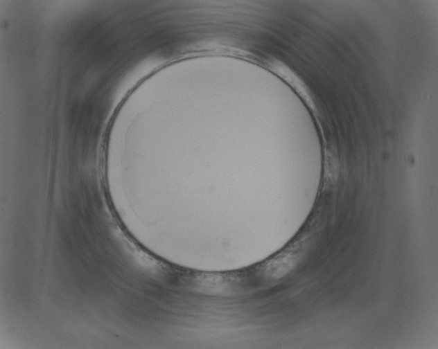 X0000081301098200702012303