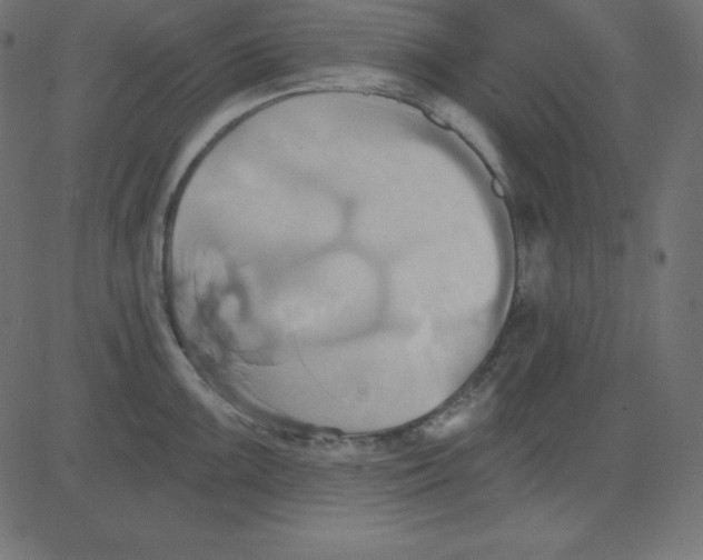 X0000081301099200702012303